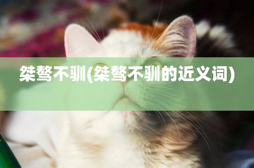 桀驁不馴(桀驁不馴的近義詞) 