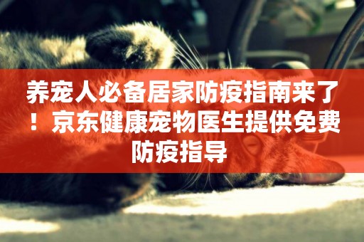 養寵人必備居家防疫指南來了！京東健康寵物醫生提供免費防疫指導 