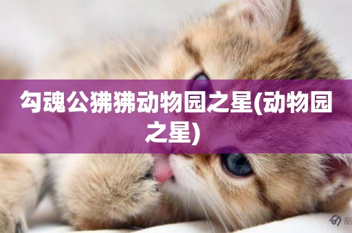 勾魂公狒狒動物園之星(動物園之星) 