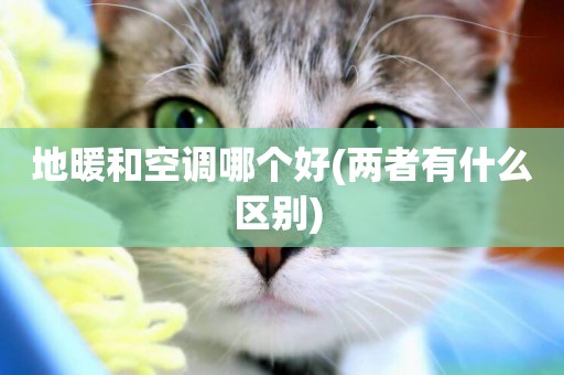 地暖和空調哪個好(兩者有什么區別) 