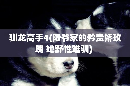馴龍高手4(陸爺家的矜貴嬌玫瑰 她野性難馴) 