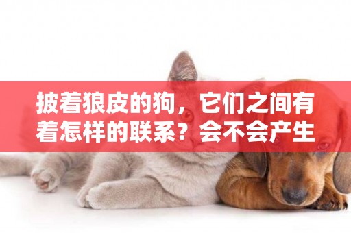 披著狼皮的狗，它們之間有著怎樣的聯系？會不會產生生殖隔離？ 