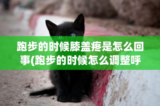 跑步的時候膝蓋疼是怎么回事(跑步的時候怎么調整呼吸) 