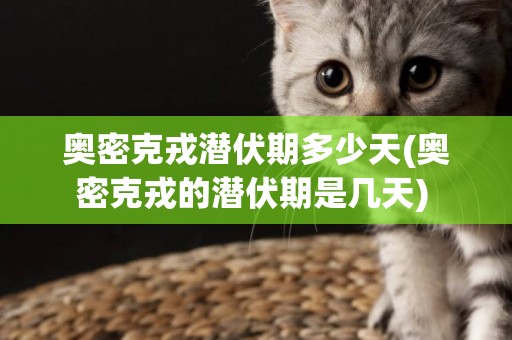 奧密克戎潛伏期多少天(奧密克戎的潛伏期是幾天) 