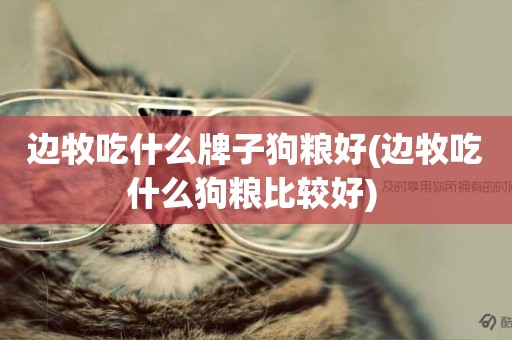 邊牧吃什么牌子狗糧好(邊牧吃什么狗糧比較好) 