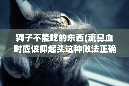狗子不能吃的東西(流鼻血時應該仰起頭這種做法正確嗎) 