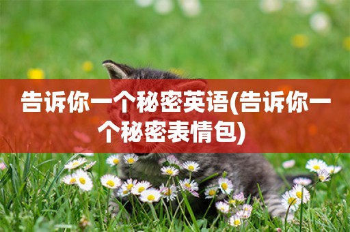 告訴你一個秘密英語(告訴你一個秘密表情包) 