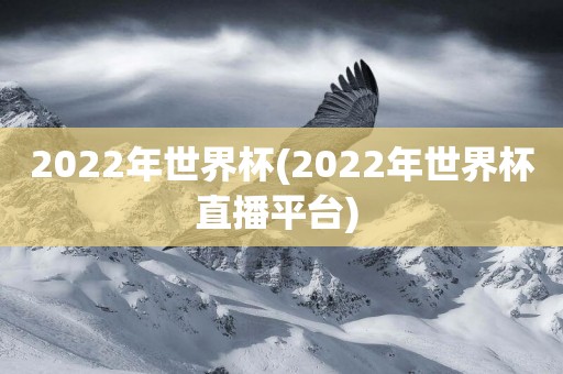 2022年世界杯(2022年世界杯直播平臺) 