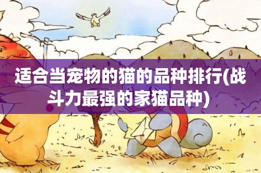 適合當寵物的貓的品種排行(戰斗力最強的家貓品種) 