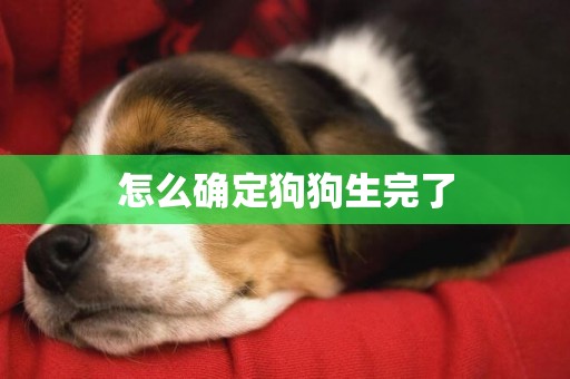 怎么確定狗狗生完了
