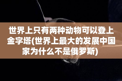 世界上只有兩種動物可以登上金字塔(世界上最大的發展中國家為什么不是俄羅斯) 