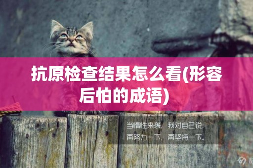 抗原檢查結果怎么看(形容后怕的成語) 