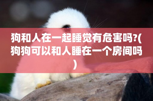 狗和人在一起睡覺有危害嗎?(狗狗可以和人睡在一個房間嗎) 