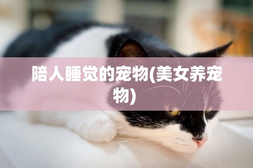 陪人睡覺的寵物(美女養寵物) 
