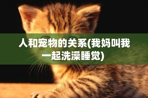 人和寵物的關系(我媽叫我一起洗澡睡覺) 