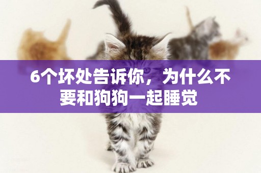 6個壞處告訴你，為什么不要和狗狗一起睡覺 
