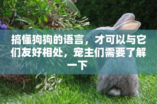 搞懂狗狗的語言，才可以與它們友好相處，寵主們需要了解一下 