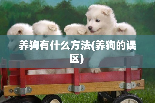 養狗有什么方法(養狗的誤區) 