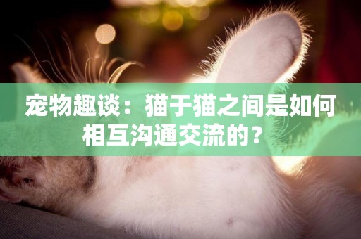 寵物趣談：貓于貓之間是如何相互溝通交流的？ 