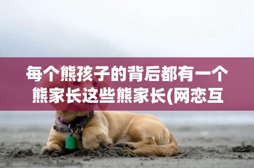 每個熊孩子的背后都有一個熊家長這些熊家長(網戀互相喜歡見面以后會有結果嗎經常打視頻電話) 