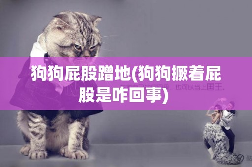 狗狗屁股蹭地(狗狗撅著屁股是咋回事) 