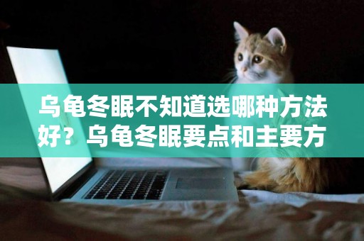 烏龜冬眠不知道選哪種方法好？烏龜冬眠要點和主要方法詳解 