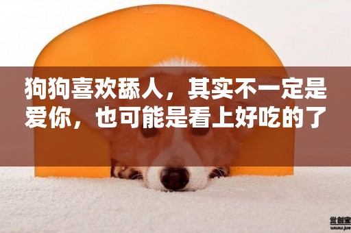 狗狗喜歡舔人，其實不一定是愛你，也可能是看上好吃的了 