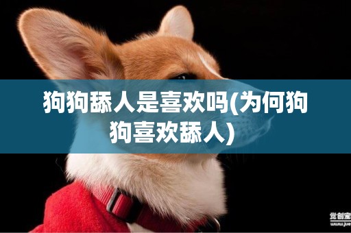 狗狗舔人是喜歡嗎(為何狗狗喜歡舔人) 