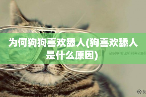 為何狗狗喜歡舔人(狗喜歡舔人是什么原因) 