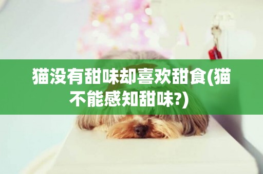 貓沒有甜味卻喜歡甜食(貓不能感知甜味?) 
