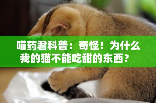喵藥君科普：奇怪！為什么我的貓不能吃甜的東西？ 