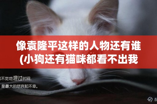 像袁隆平這樣的人物還有誰(小狗還有貓咪都看不出我的心思是什么歌) 