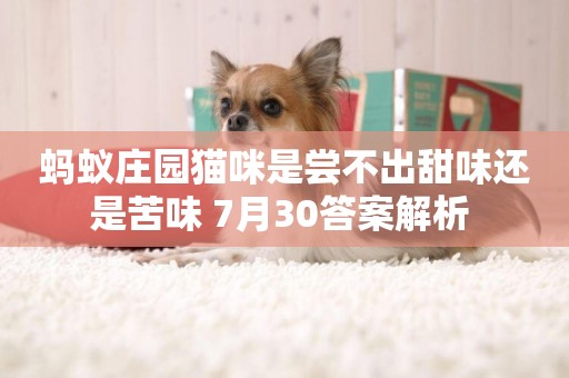 螞蟻莊園貓咪是嘗不出甜味還是苦味 7月30答案解析 