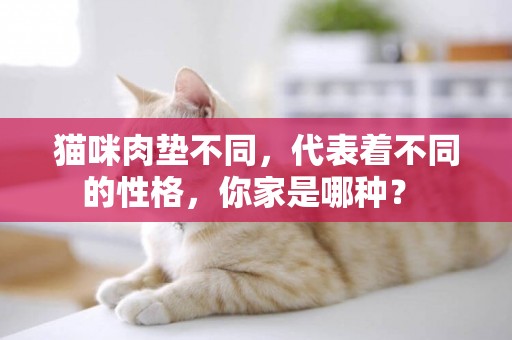 貓咪肉墊不同，代表著不同的性格，你家是哪種？ 