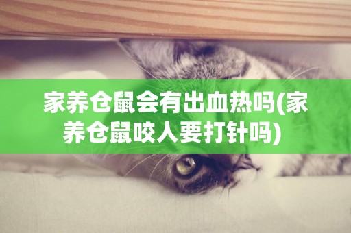 家養倉鼠會有出血熱嗎(家養倉鼠咬人要打針嗎) 