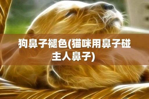 狗鼻子褪色(貓咪用鼻子碰主人鼻子) 