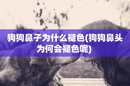 狗狗鼻子為什么褪色(狗狗鼻頭為何會褪色呢) 