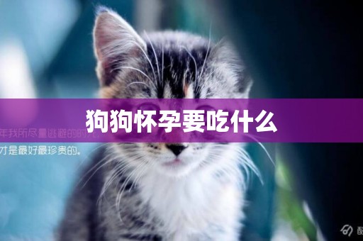 狗狗懷孕要吃什么