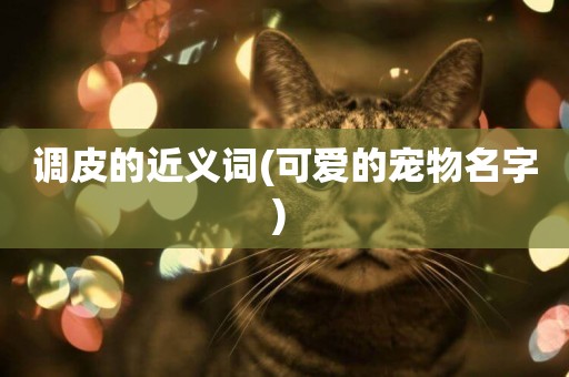 調皮的近義詞(可愛的寵物名字) 