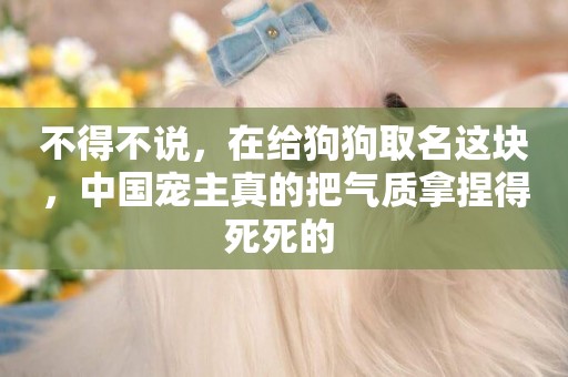 不得不說，在給狗狗取名這塊，中國寵主真的把氣質拿捏得死死的 