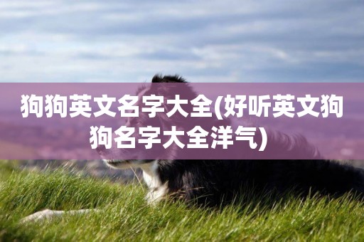 狗狗英文名字大全(好聽英文狗狗名字大全洋氣) 