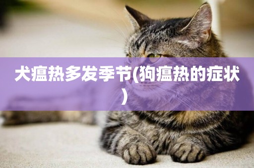 犬瘟熱多發季節(狗瘟熱的癥狀) 