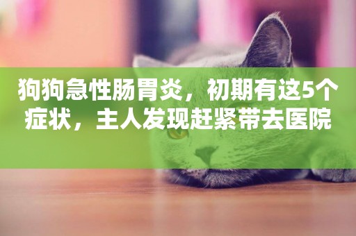 狗狗急性腸胃炎，初期有這5個癥狀，主人發現趕緊帶去醫院 