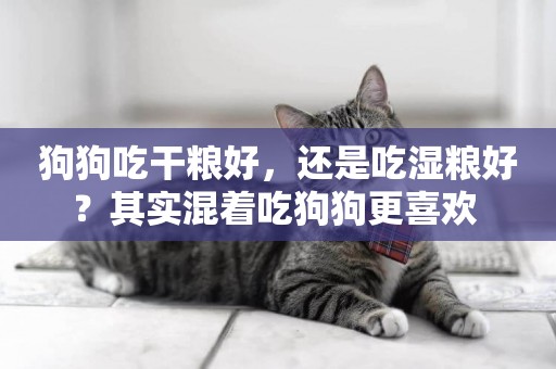 狗狗吃干糧好，還是吃濕糧好？其實混著吃狗狗更喜歡 