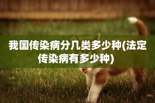 我國傳染病分幾類多少種(法定傳染病有多少種) 