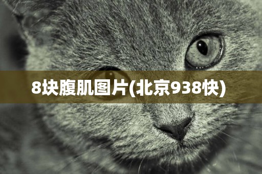 8塊腹肌圖片(北京938快) 