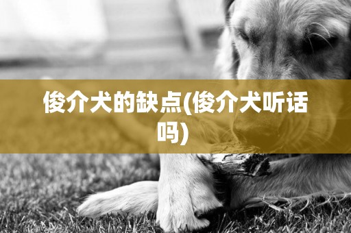 俊介犬的缺點(俊介犬聽話嗎) 