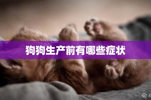 狗狗生產前有哪些癥狀
