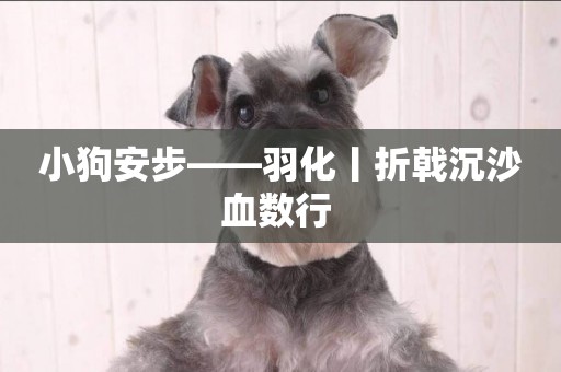 小狗安步——羽化丨折戟沉沙血數行 