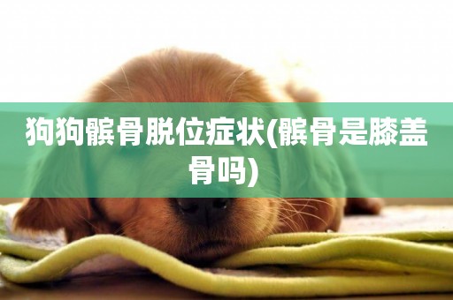 狗狗髕骨脫位癥狀(髕骨是膝蓋骨嗎) 
